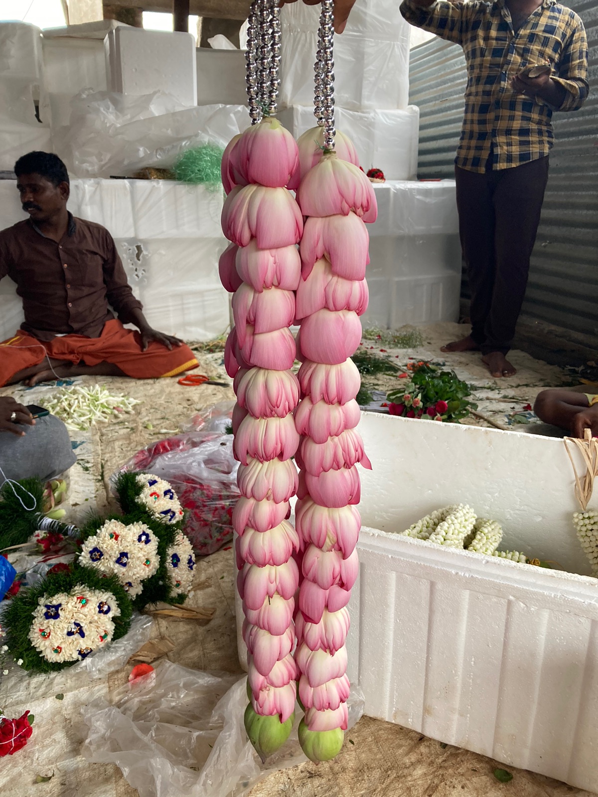 Lotus Garland variation 3