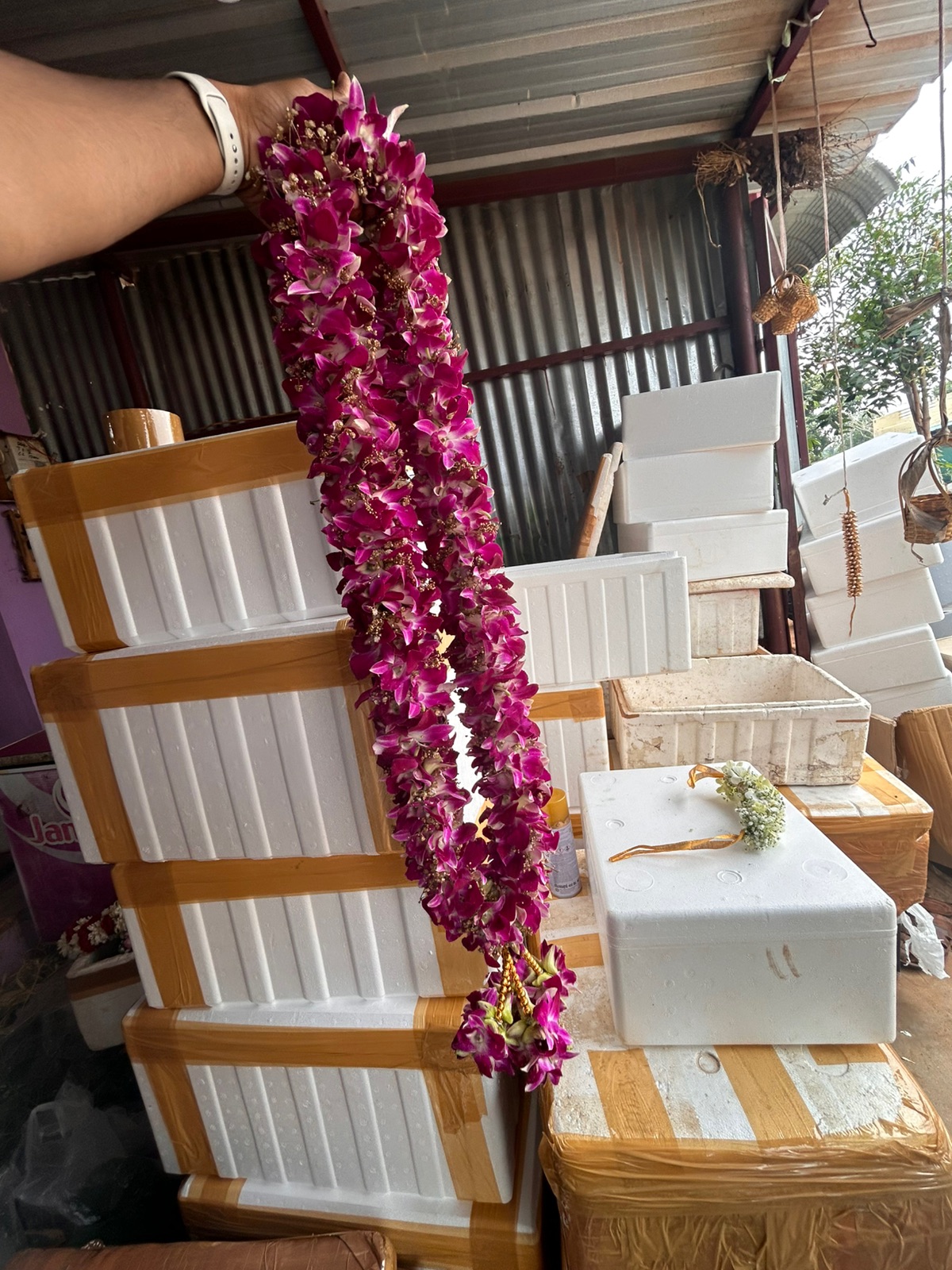 Orchid Garland variation 4