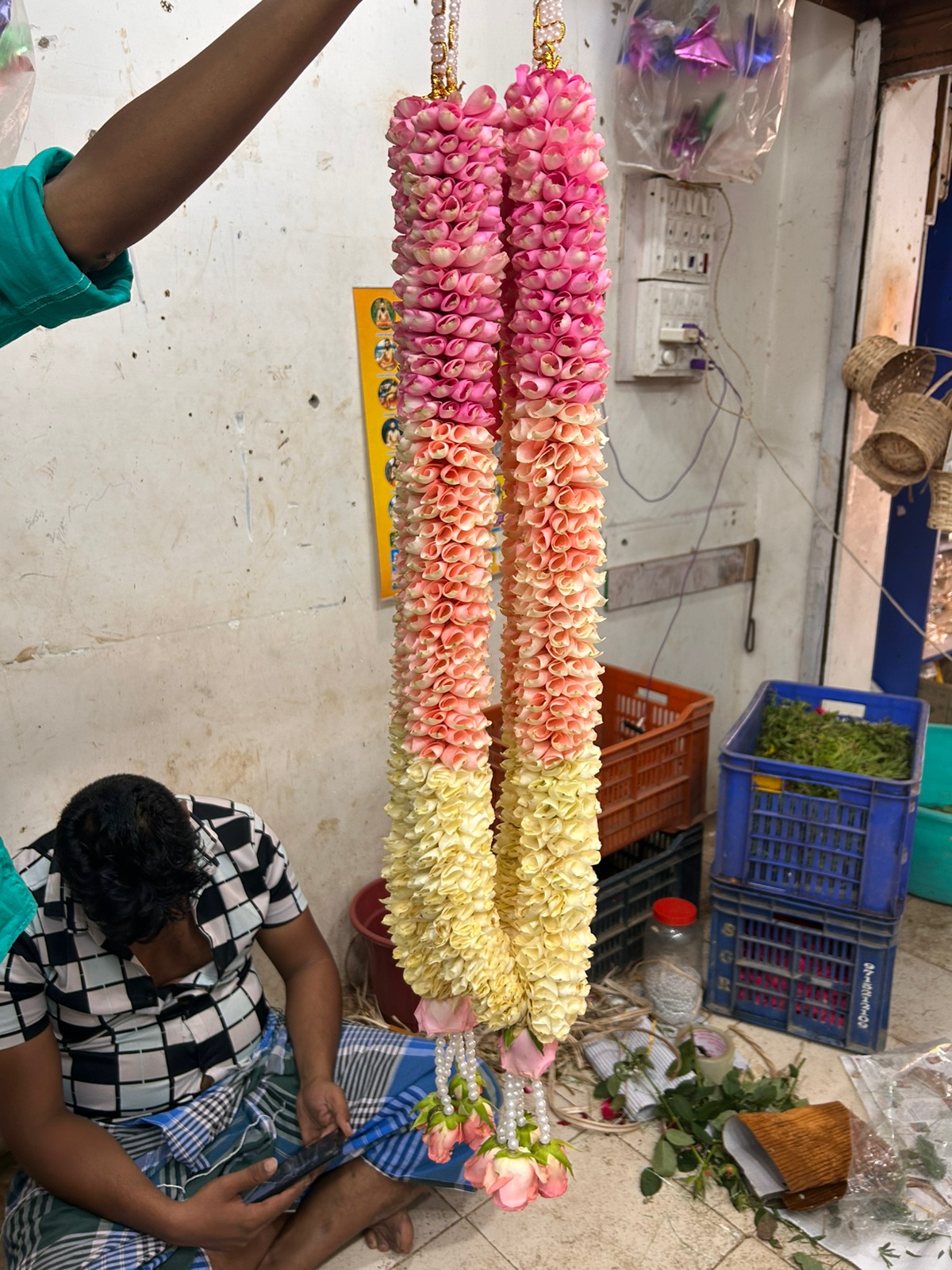 Premium Garland variation 10