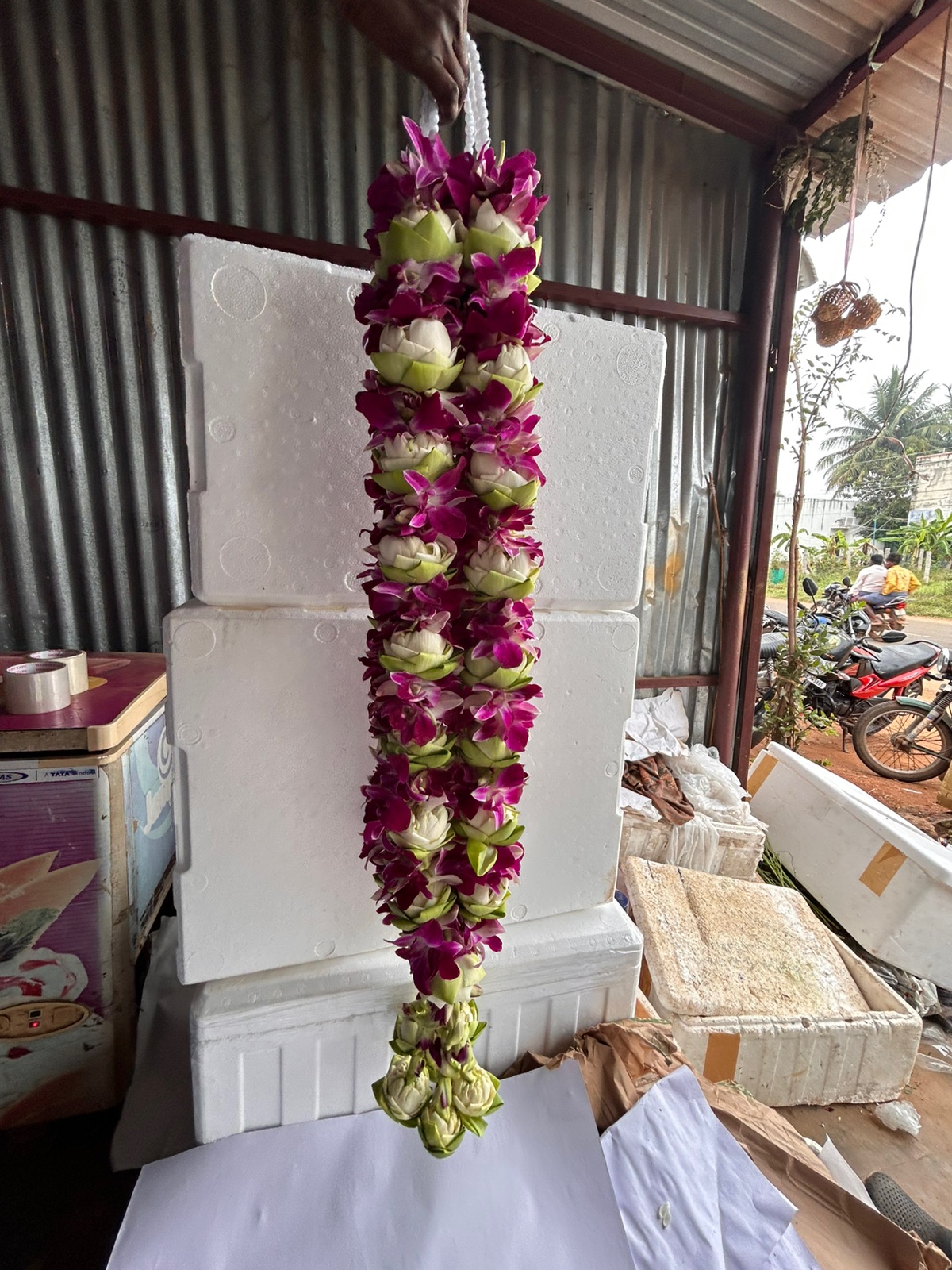 Premium Garland variation 7